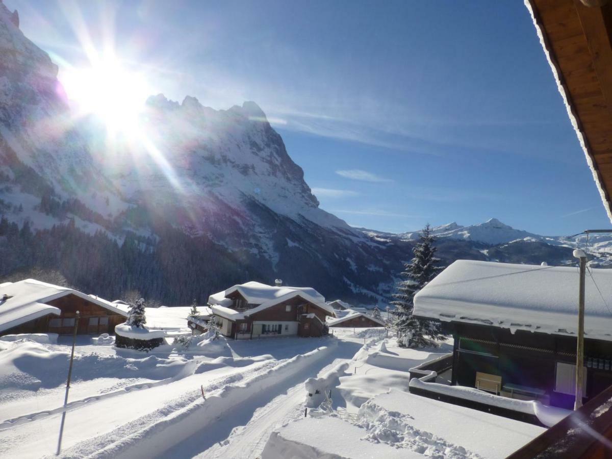 Chalet Verbrunnenhaus Grindelwald Appartement Buitenkant foto