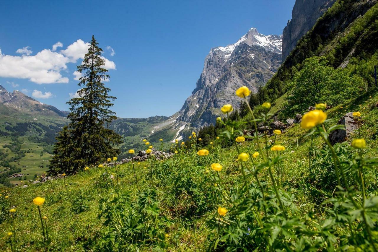 Chalet Verbrunnenhaus Grindelwald Appartement Buitenkant foto