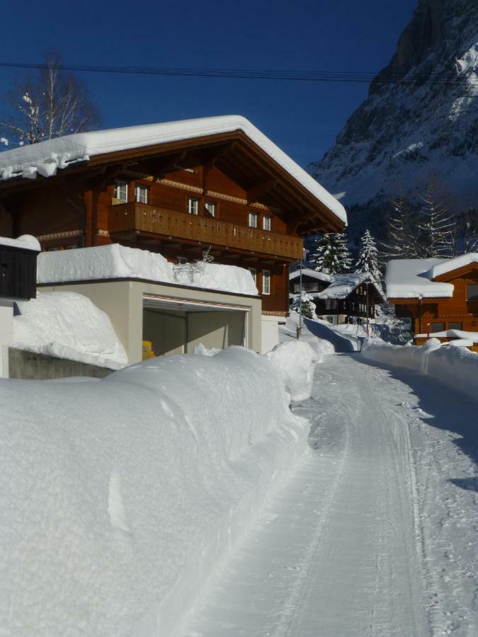 Chalet Verbrunnenhaus Grindelwald Appartement Buitenkant foto